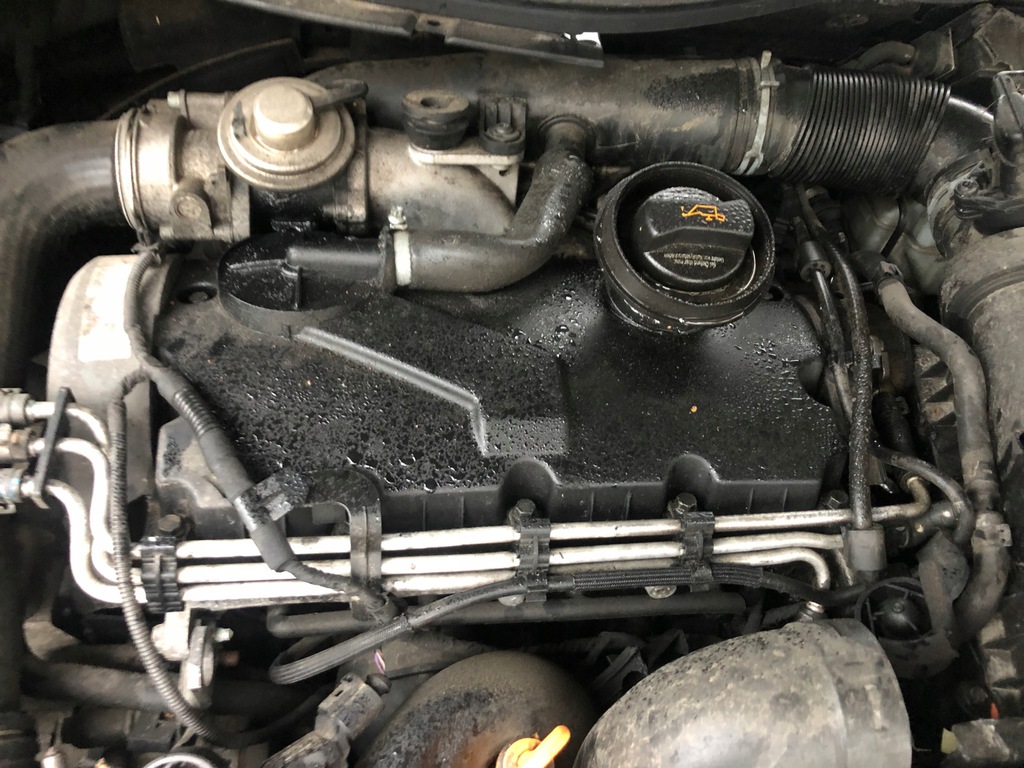 vw passat b6 motor 1.9 tdi bkc  (#)