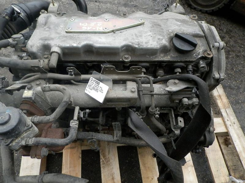 almera n16 motor 22di bomba turbo  (#)