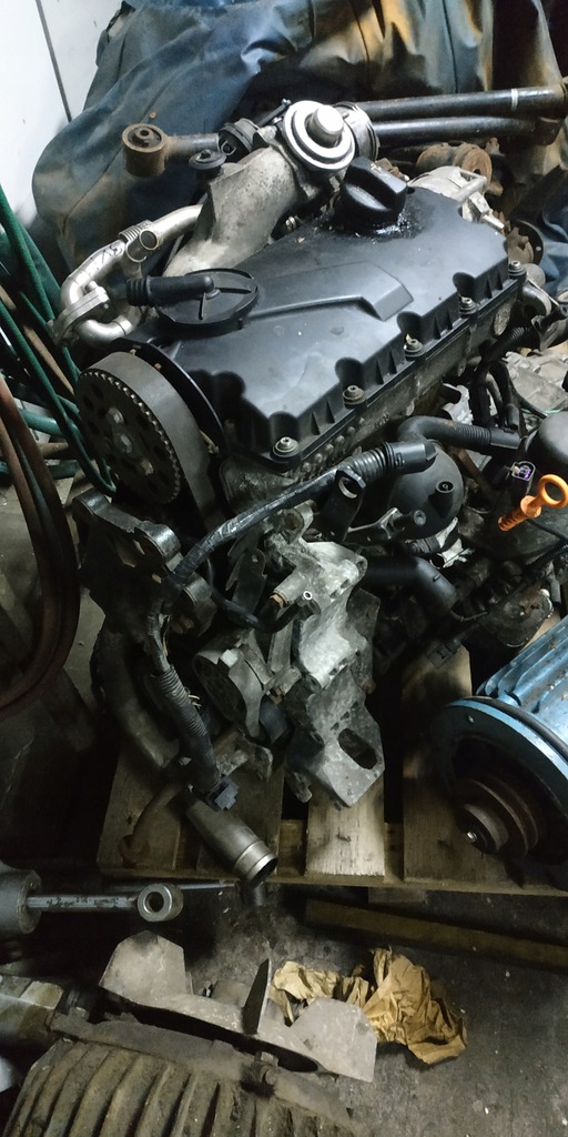 motor 1.9 tdi bvk  (#)