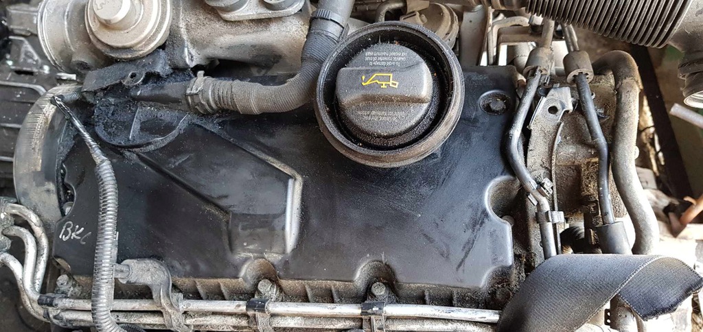 vw golf v motor 1.9 tdi bkc  (#)
