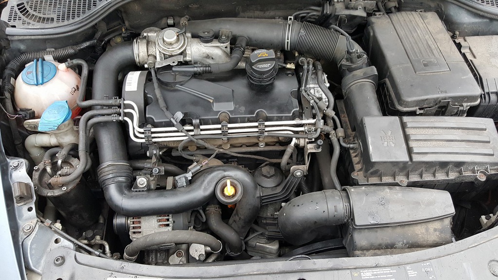 motor vw golf v 1.9tdi 90km 03-08 bru audi skoda  (#)