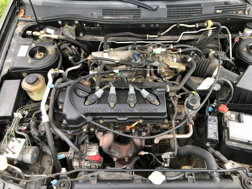 primera p11 motor compl. 1.8 16v qg18  (#)