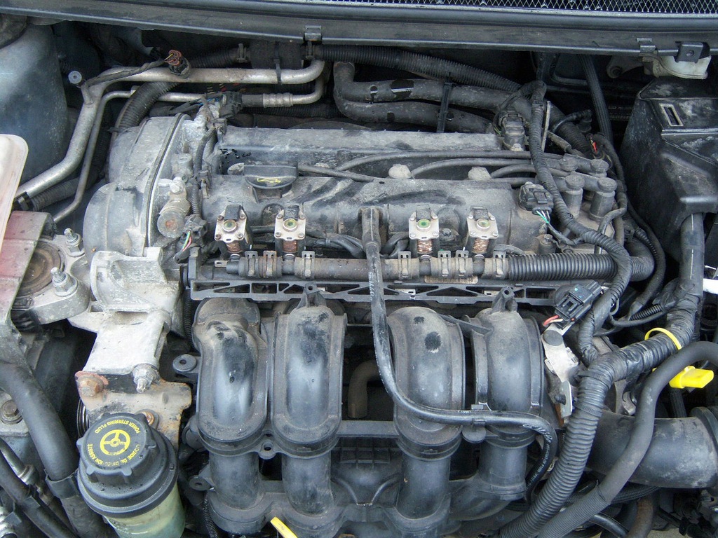 focus ii mk2 1.6 b 16v motor 4m5g  (#)