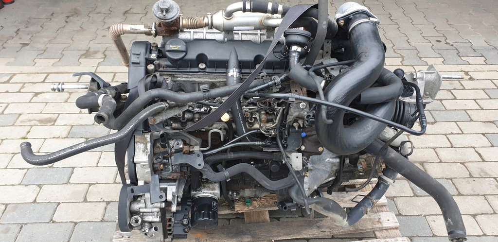 motor ducato boxer jumper 2.0 jtd 02-06 rhv  (#)