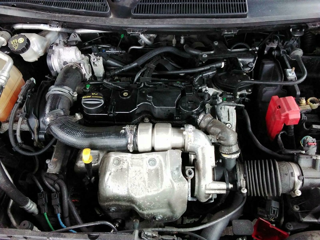 ford fiesta mk7 - motor 1.4 tdci kvja  (#)
