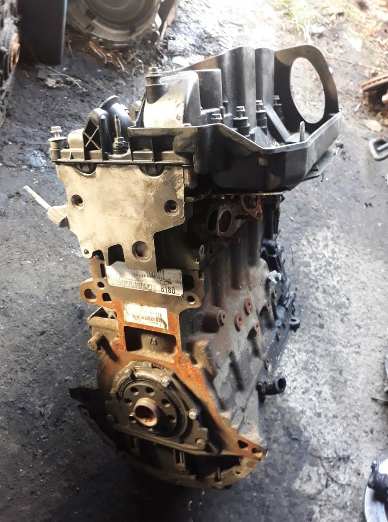 motor pelado deznudo motor bmw e46 2.0d m47 dgf  (#)