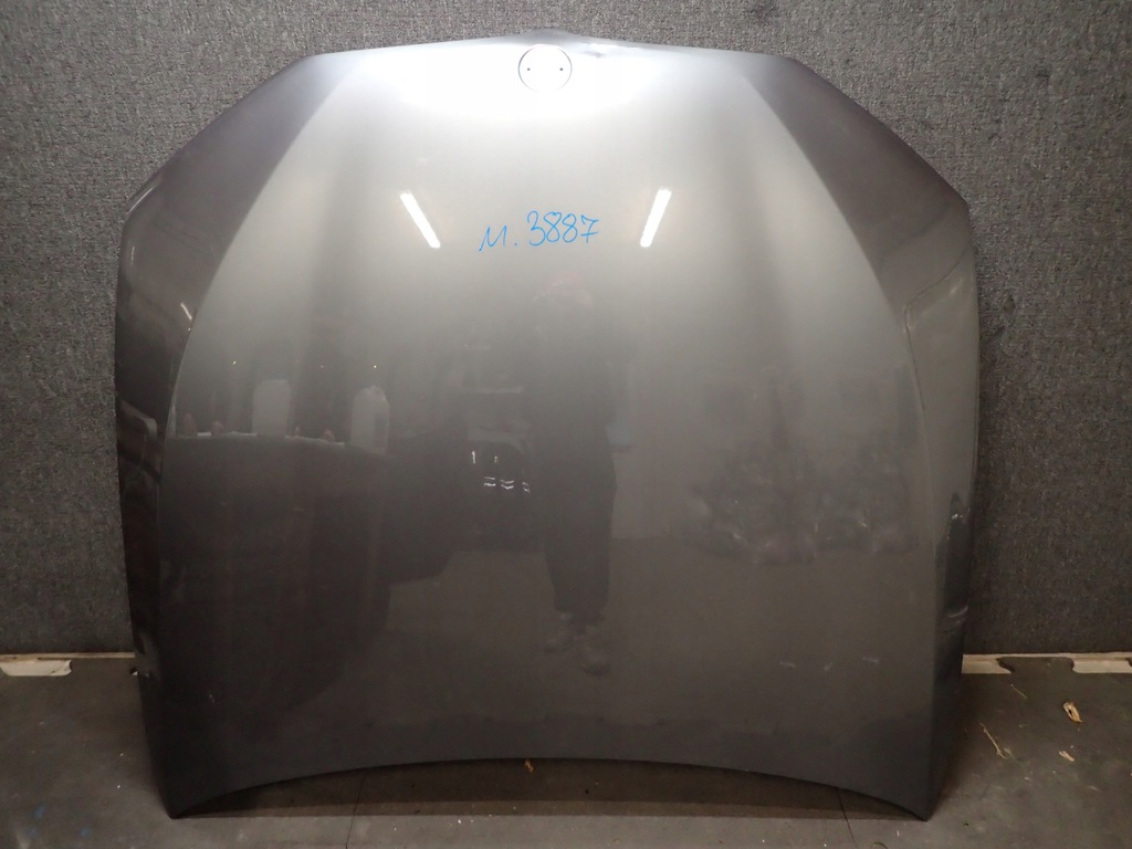 capó bmw 5 v g30 g31 ($)