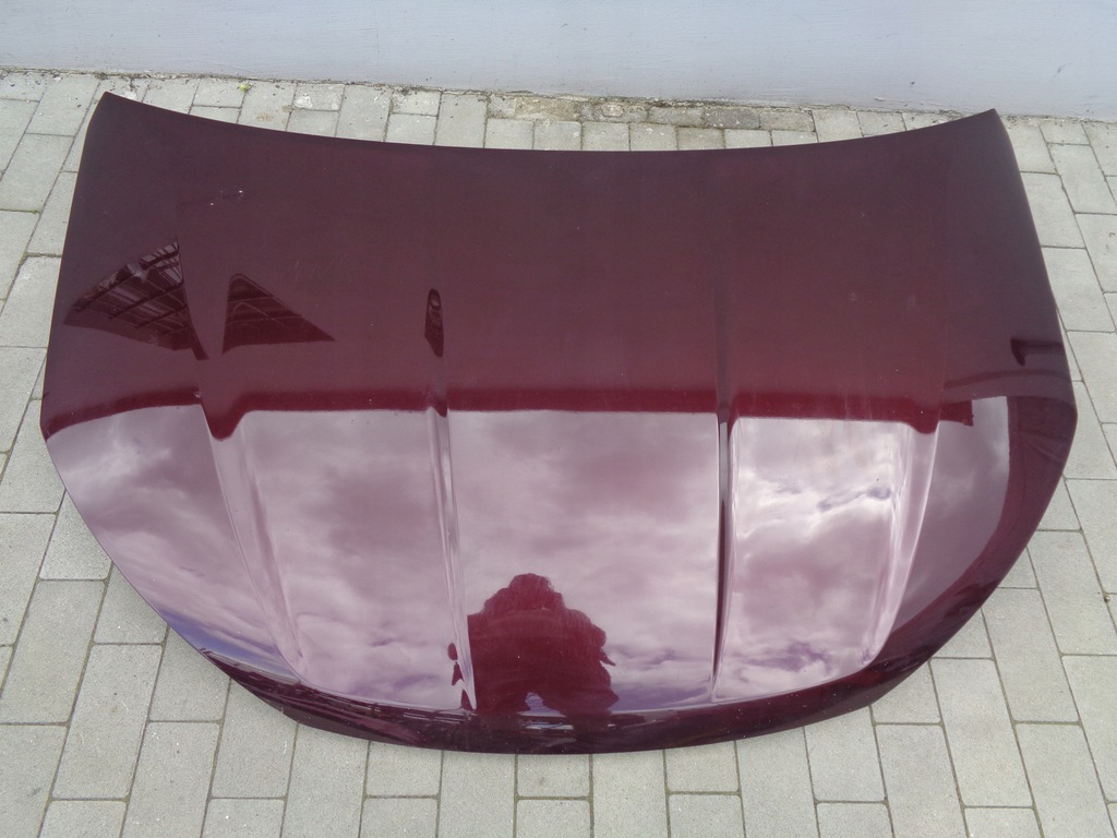 capó completo bisagras ssangyong rodius ii waf ($)