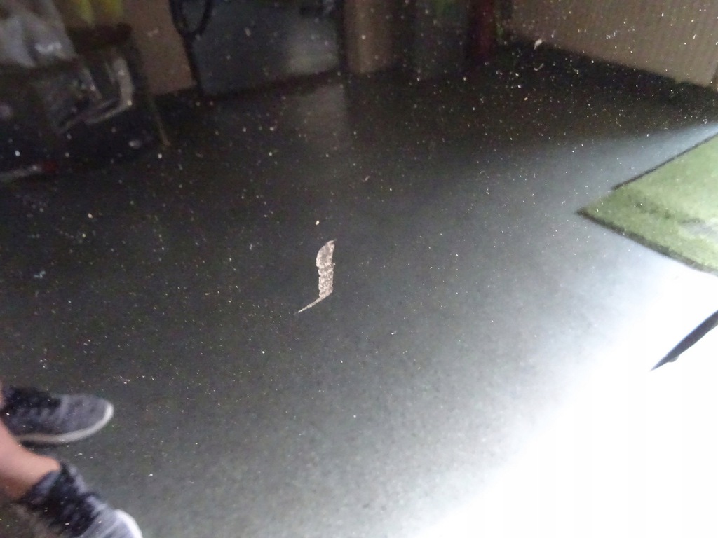 mercedes ml 164 w164 capó tapa motor ($)