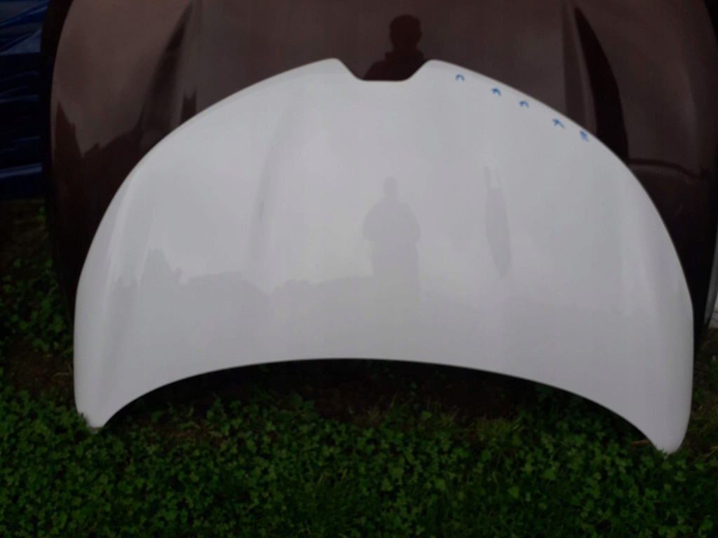 capó renault zoe lift 19  ($)