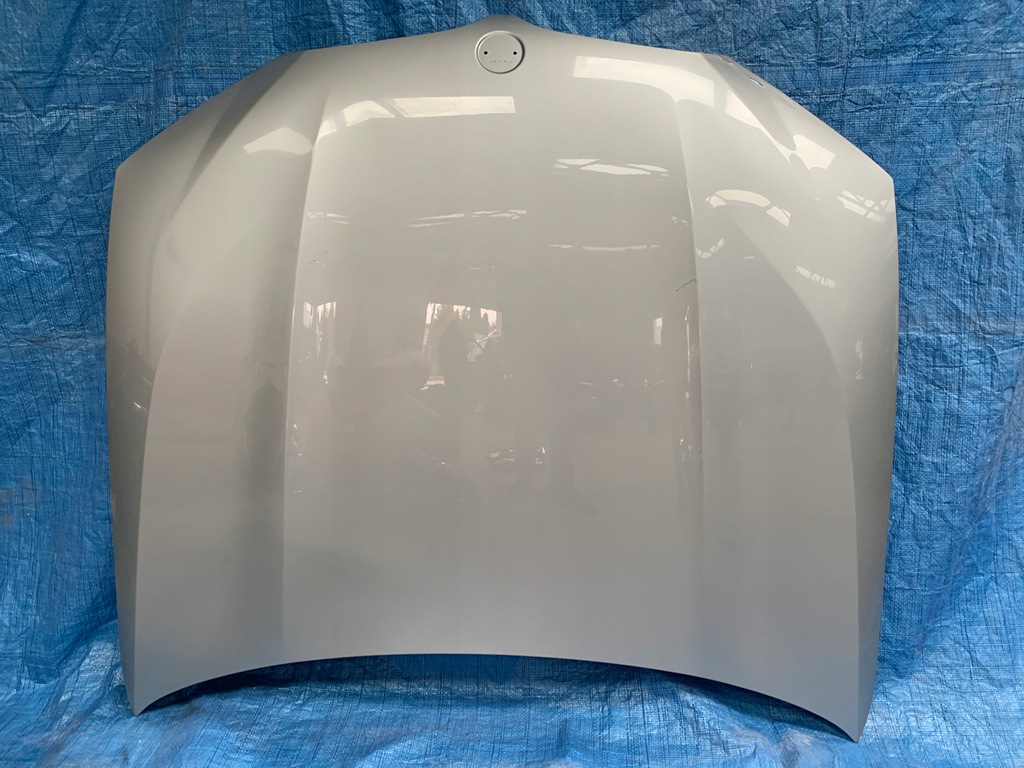 bmw g01 g02 x3 x4 capó ($)