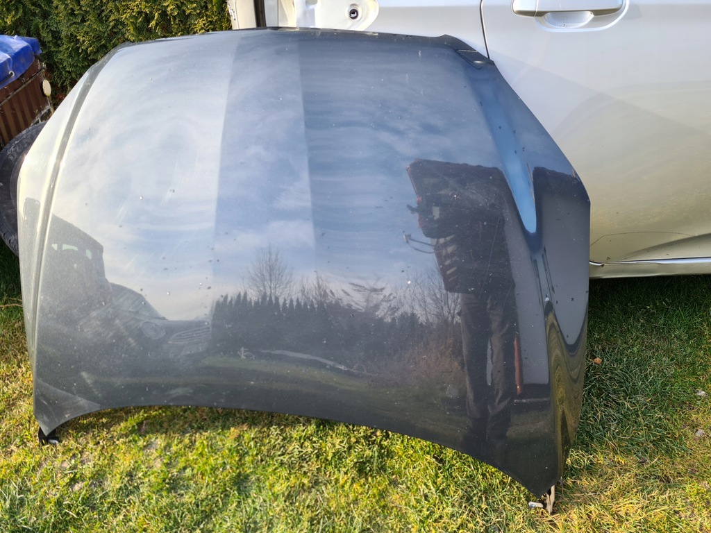 toyota rav4 06 09 capó 1e0 ($)