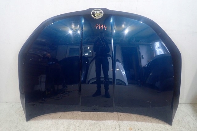 capó tapa motor skoda karoq 57a 17  ($)