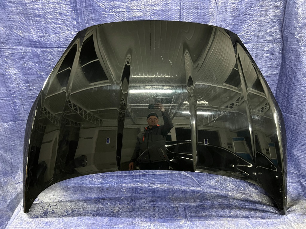 ford fiesta mk7 lift capó ($)