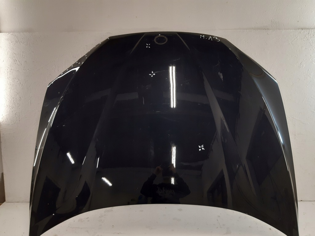 bmw x1 e84 capó tapa motor ($)