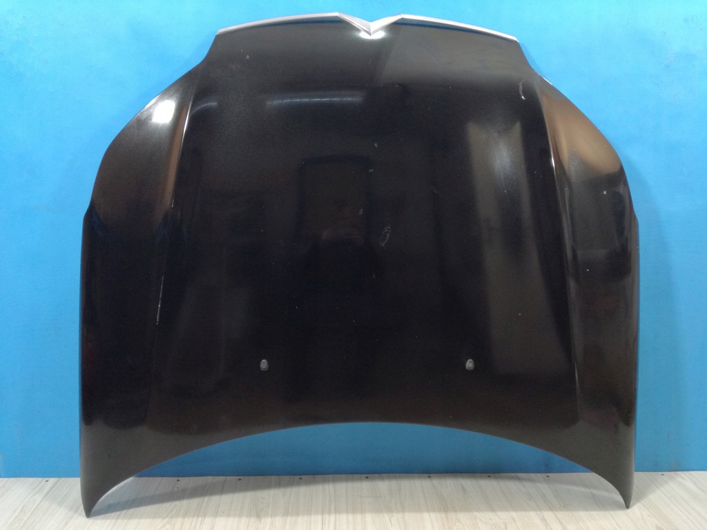 citroen c5 iii x7 capó tapa solapas ktvd ($)