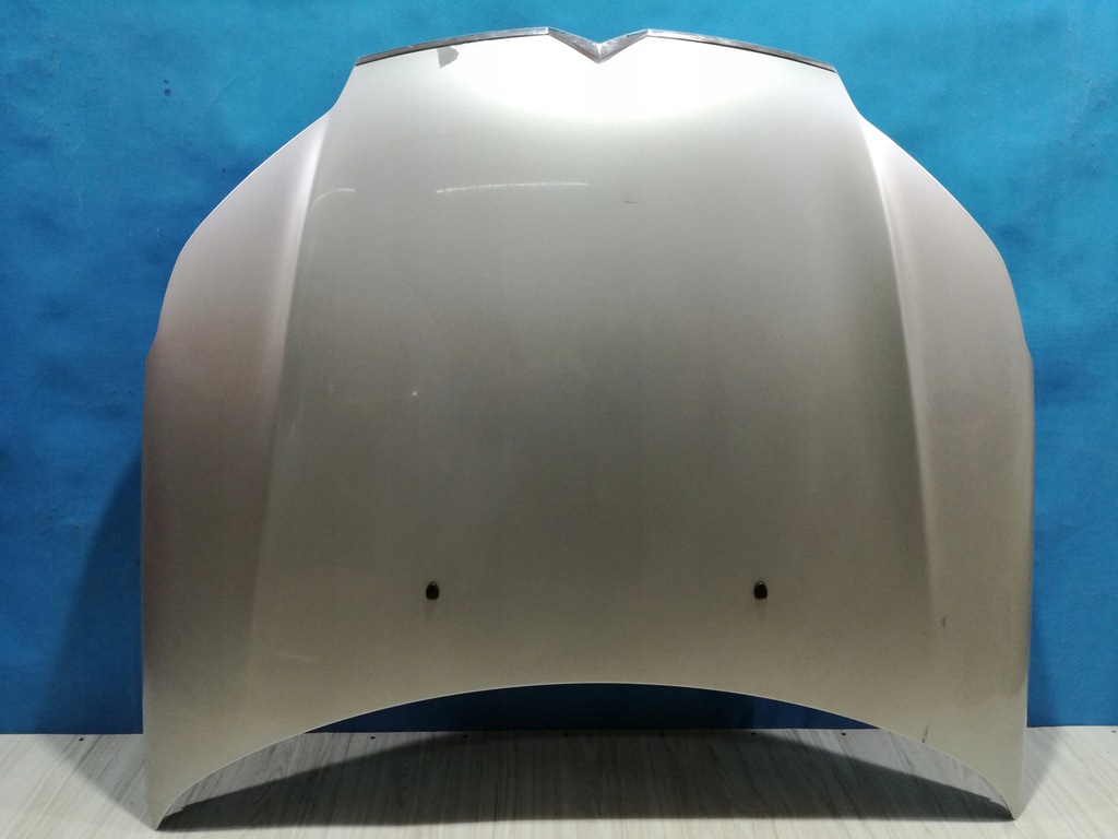 citroen c5 iii x7 capó tapa solapas ezrc ($)