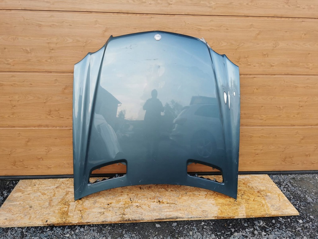 mercedes sl w230 01 08 capó ($)