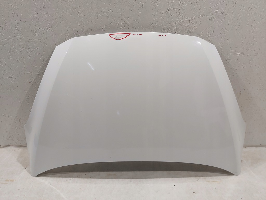 capó ford fiesta mk8 ($)