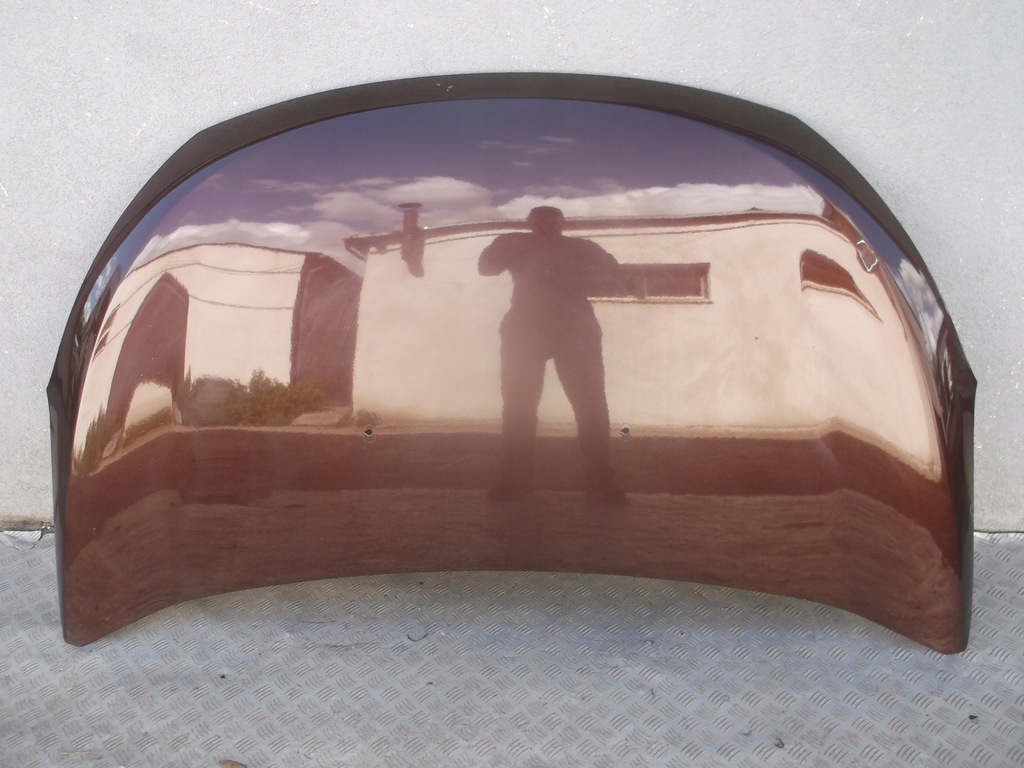 dacia dooker lodgy 12  capó delantero parte delantera ($)