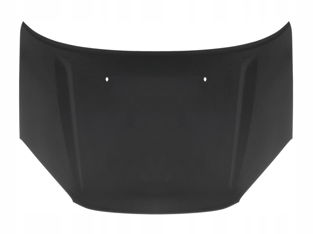 toyota rav 4 ii 2000 00 capó 5330142040/30 ($)